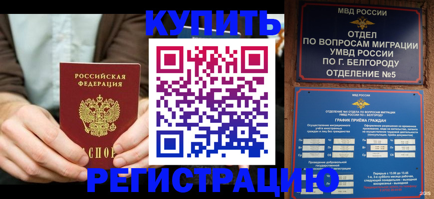 прописка 2025 в Никольске